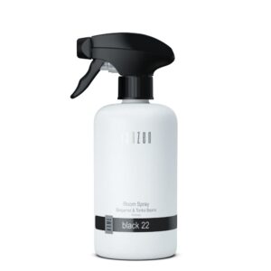 Janzen Raumspray Schwarz 22