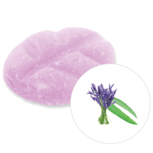 Duftchips Box M 13 Stück Eukalyptus & Lavendel