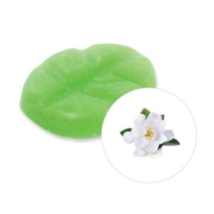 Duftchips Box M 13 Stück Gardenia