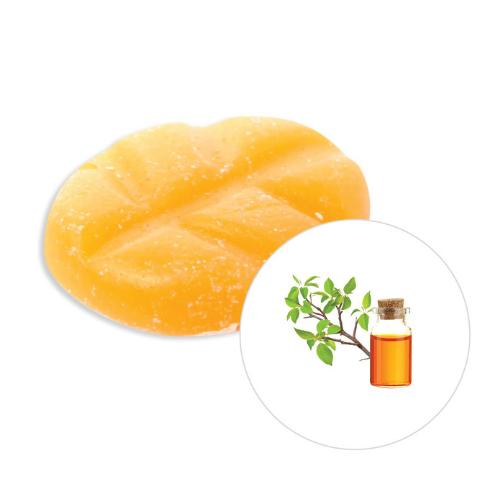 https://www.scentsandhome.de/wp-content/uploads/sites/2/2025/09/Scentchips-Box-XL-38-stuks-Musk-Fresh-Wood-www.geurvoorjehuis.nl_-2.png