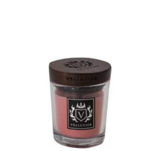 Vellutier Kleine Kerze Sukkulente Rosa Grapefruit