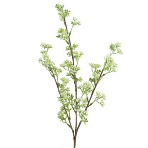 Countryfield Prunus Weiß