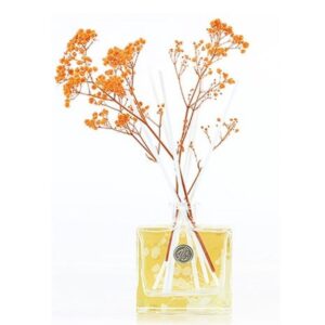 Ashleigh & Burwood Reed Diffuser Orangenblüte & Mandarine