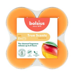 Bolsius Wahre Düfte Maxi-Duftlampen Mango