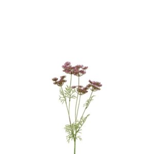 Countryfield Anethum Lila
