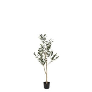 Countryfield Art Olivenbaum 120 cm