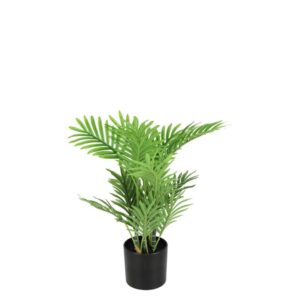 Countryfield Kunst- und Seidenblumen Areca L grün