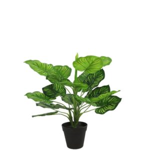 Countryfield Kunst und Seidenblumen Maranta L grün