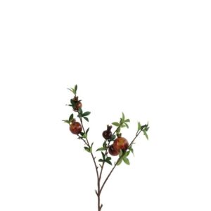 Countryfield Artberry Mespilus L braun