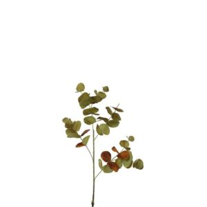 Countryfield Kunst Blatt Eukalyptus Braun