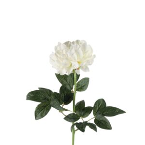 Countryfield Künstliche Blume Pfingstrose Weiß