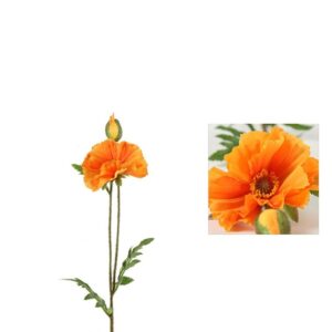 Countryfield Mohn Vere Orange