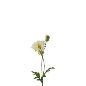 Countryfield Mohn Vere Weiß