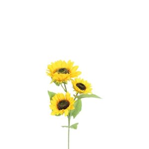 Countryfield Sonnenblume mit 3 Blüten Groß