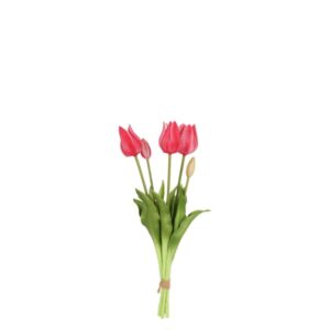 Countryfield Tulpenstrauß Greigii Fuchsia Rosa 45 cm