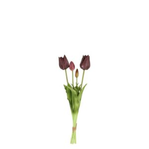 Countryfield Tulpenstrauß Greigii Lila 45 cm