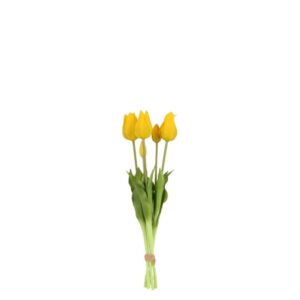 Countryfield Tulpenstrauß Greigii Gelb 45 cm