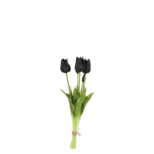 Countryfield Tulpenstrauß Greigii Schwarz 45 cm