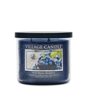 Village Candle Tumbler Wild Main Blueberry