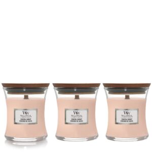 WoodWick Mini Kerze Coastal Sunset 3 Stück