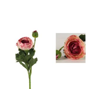 Landfeld Ranunkel Isolde Fuchsie