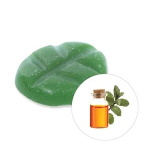 Duftchips Box XL 38 Stück Moschus & Patchouli