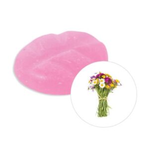 Duftchips Box M 13 Stück Wildblumen