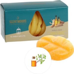 Duftstimmungen Box 12 Stück Moschus & Holz