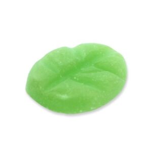 Duftchips Box XL 38 Stück Citronella