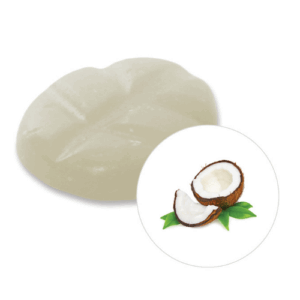 Duftchips Box M 13 Stück Kokosnuss