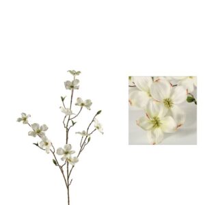 Countryfield Hartriegel Zweig Fiona L weiß