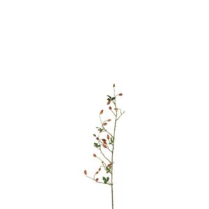 Countryfield Artberry Rosa Canina orange