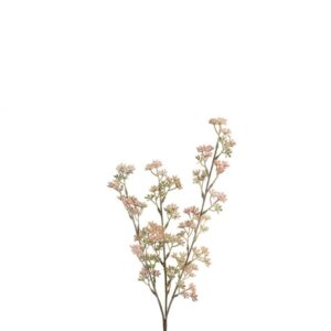 Countryfield Prunus Hellrosa