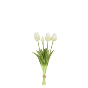 Countryfield Tulpenstrauß Greigii Weiß 45 cm