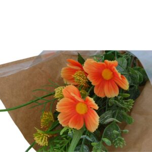 Countryfield Art Bouquet Kosmos Kreuz Blume Orange