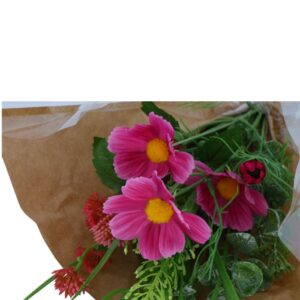 Countryfield Art Bouquet Kosmos Kreuz Blume Fuchsia