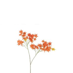 Countryfield Art Blatt Ahorn Orange