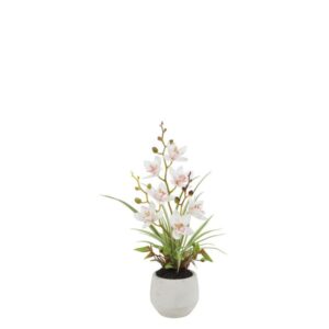 Countryfield Kunstpflanze Cymbidium Orchidee weiß