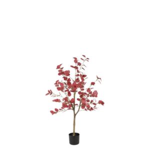 Countryfield Kunstpflanze Eukalyptus S rot