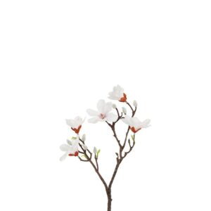 Countryfield Magnolia Weiß