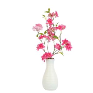 Countryfield Prunus in einer Vase in Fuchsia
