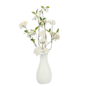 Countryfield Prunus in Vase Weiß
