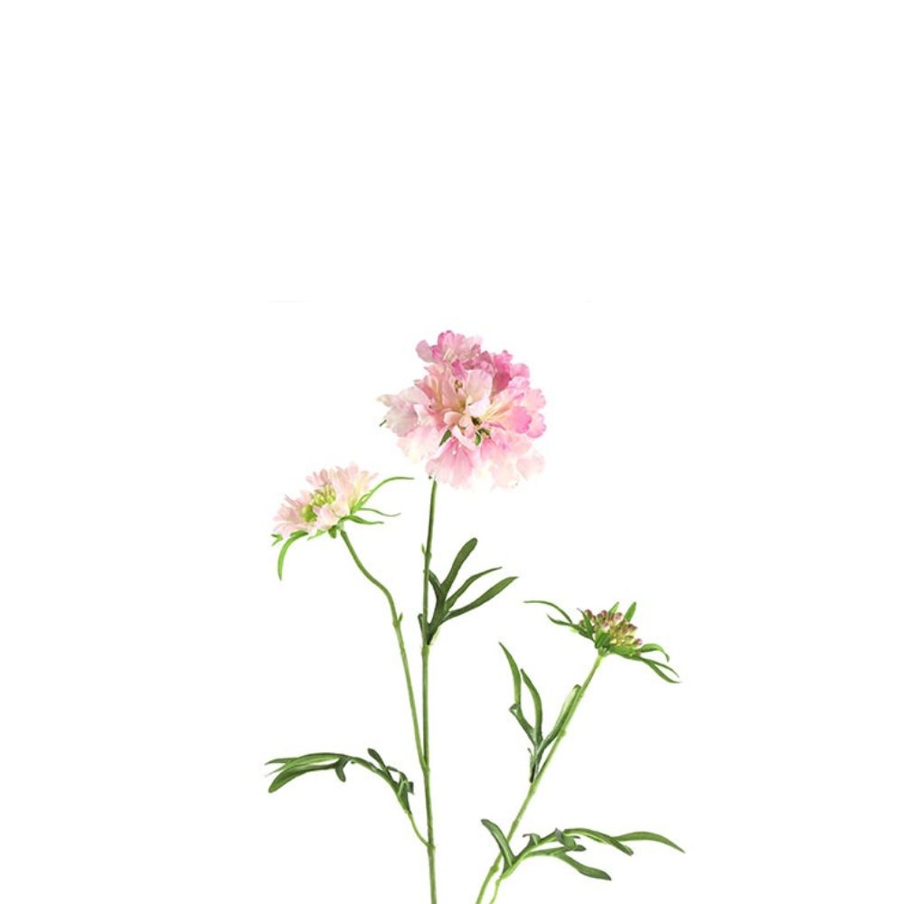 https://www.scentsandhome.de/wp-content/uploads/sites/2/2026/02/Countryfield-Scabiosa-Roze-www.geurvoorjehuis.nl-2-1.jpg