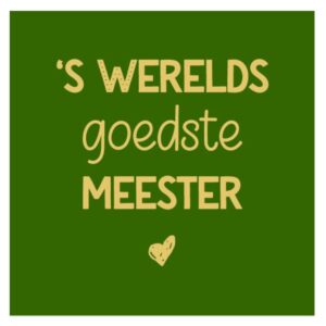 Magnetplättchen Meister