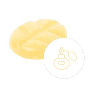 Scentchips Box XL 38 Stück White Sun