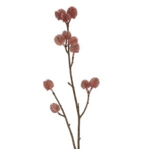Countryfield Bes Bixa rosa