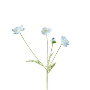Countryfield Cosmos weiß/creme