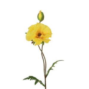 Countryfield Mohn Vere Gelb