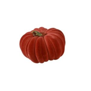 Countryfield Kürbis-Ornament L in Orange