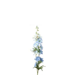 Countryfield Rittersporn Jesika Hellblau